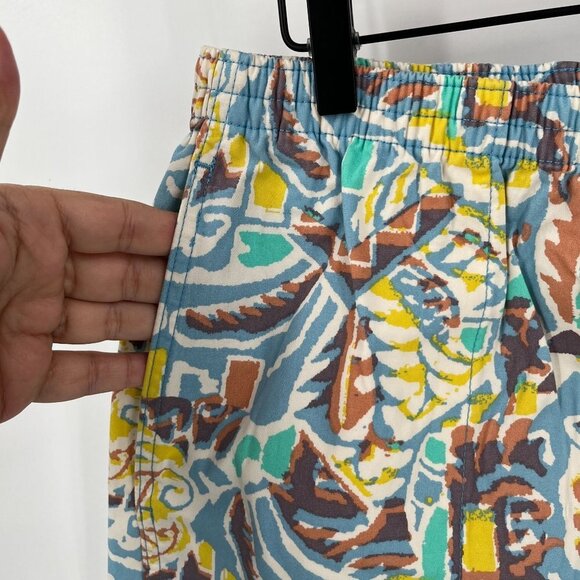 PATAGONIA WOMEN'S FUNHOGGERS COTTON SHORTS SIZE XS 4" THRIVING PLANET LAGO BLUE - Picture 4 of 12